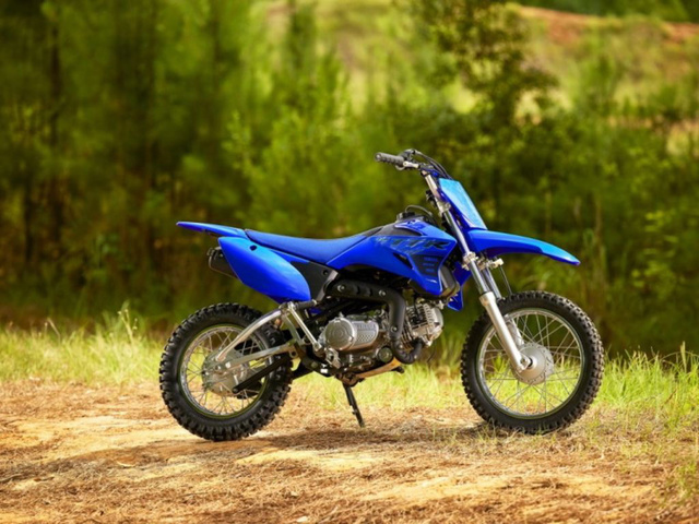 Yamaha TT-R110E Image
