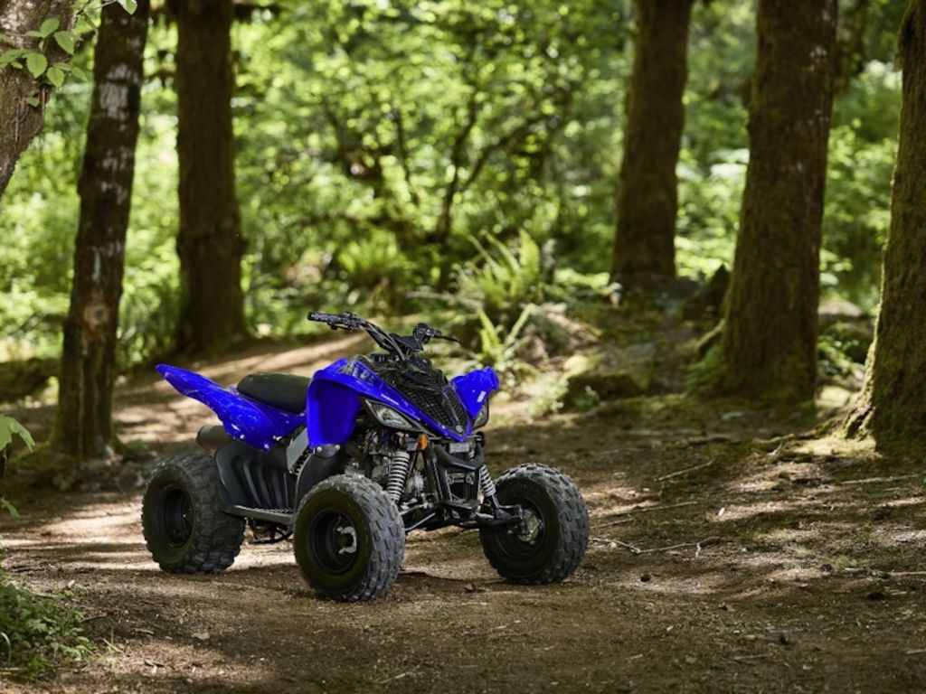 Yamaha Raptor Image