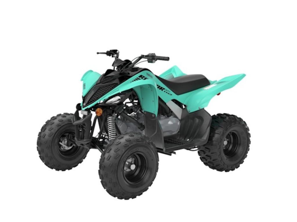 Yamaha Raptor Image