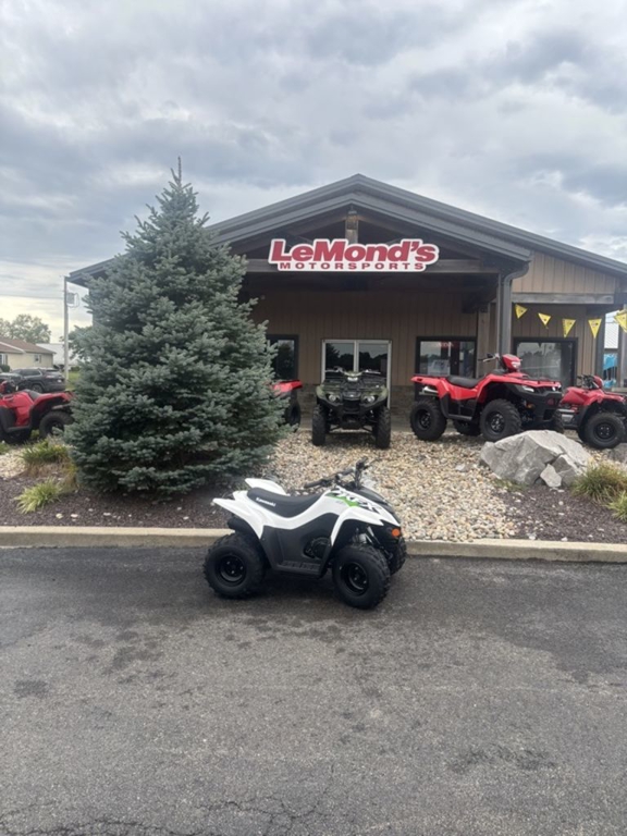 Kawasaki KFX 90 Image
