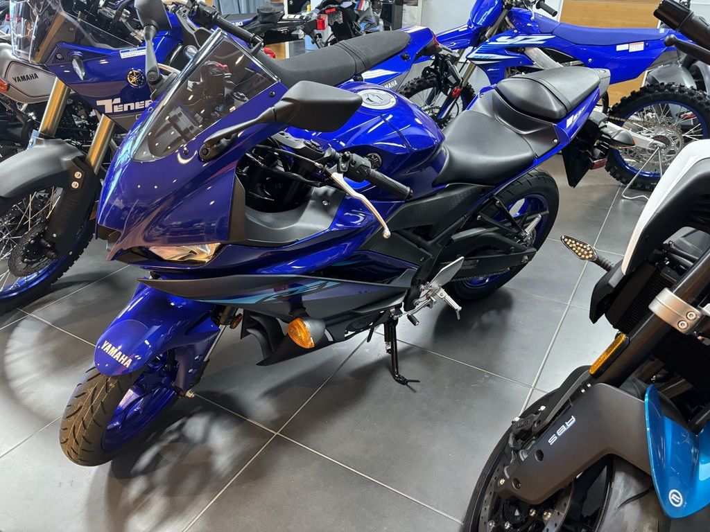 Yamaha YZF-R1 Image