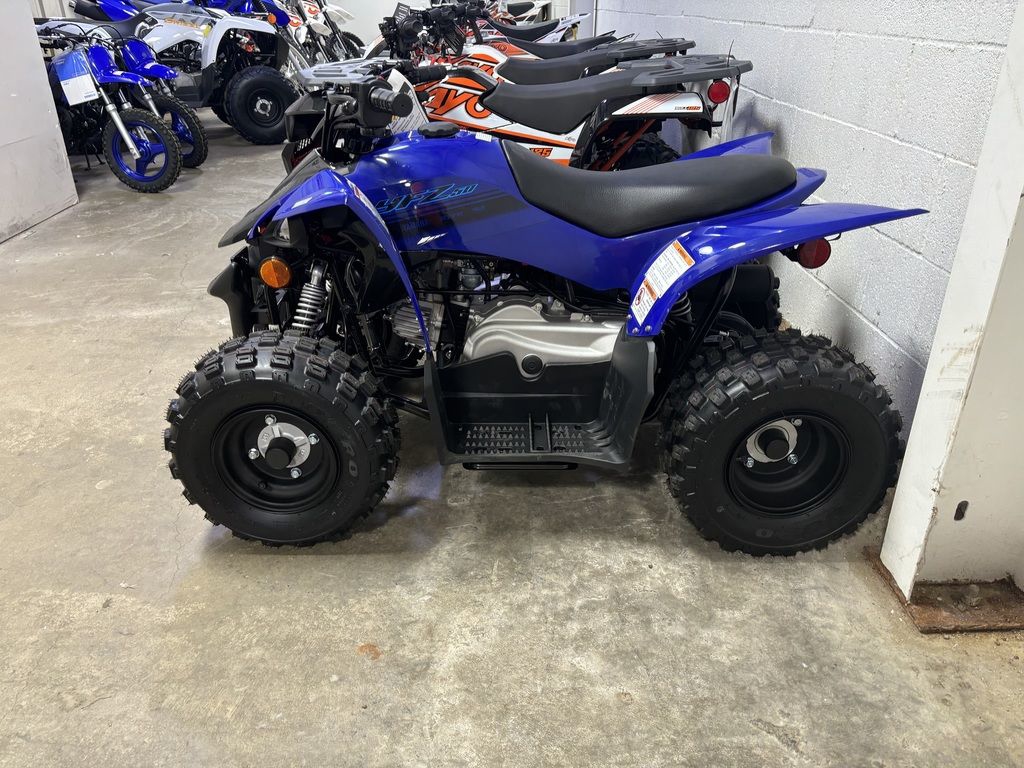 Yamaha YFZ50 Image