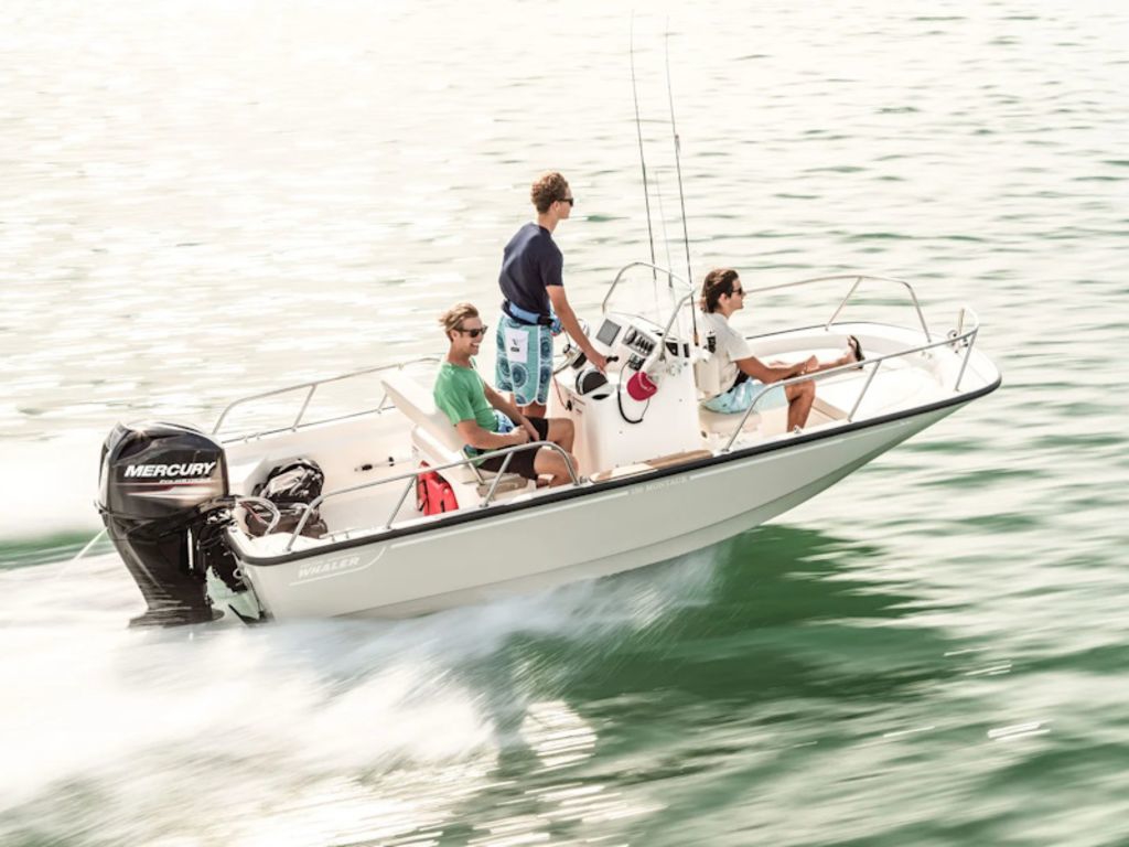 2027 Boston Whaler 150 Montauk yacht for sale in 