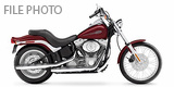 2006 Harley-Davidson® Softail® Standard V Twin 1442