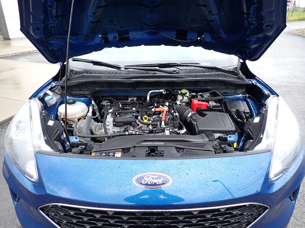 2022 Ford Escape SE Atlas Blue at Premiere Auto Sales
