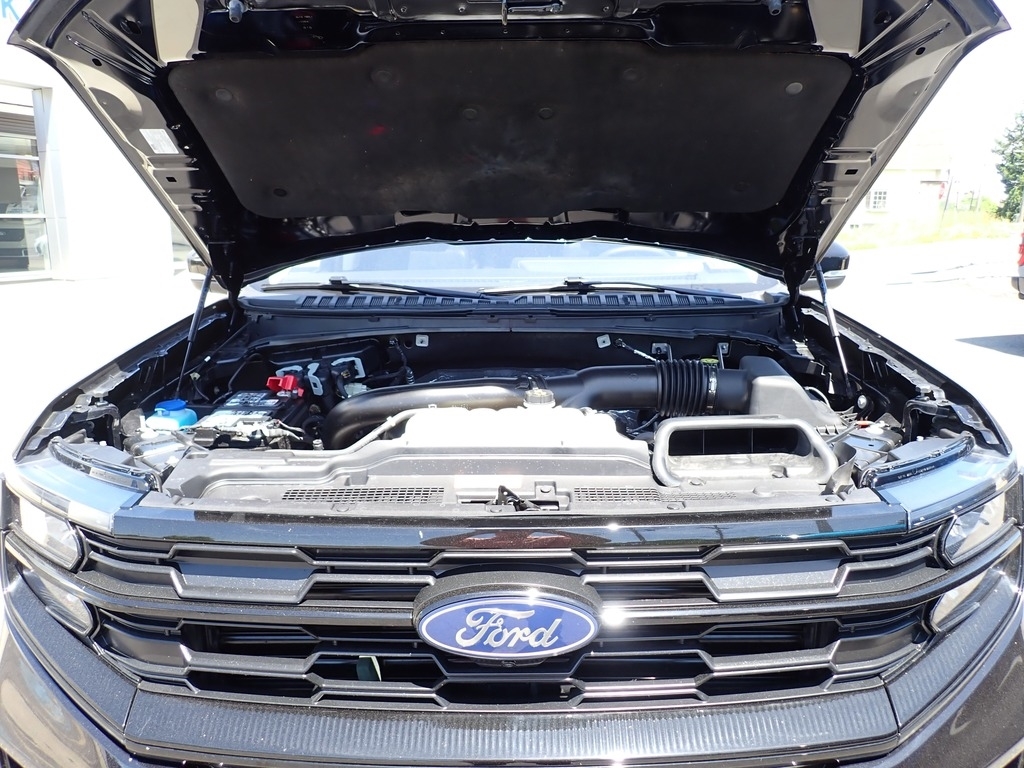 2025 Ford Expedition Active Agate Black at Star Lake Ford
