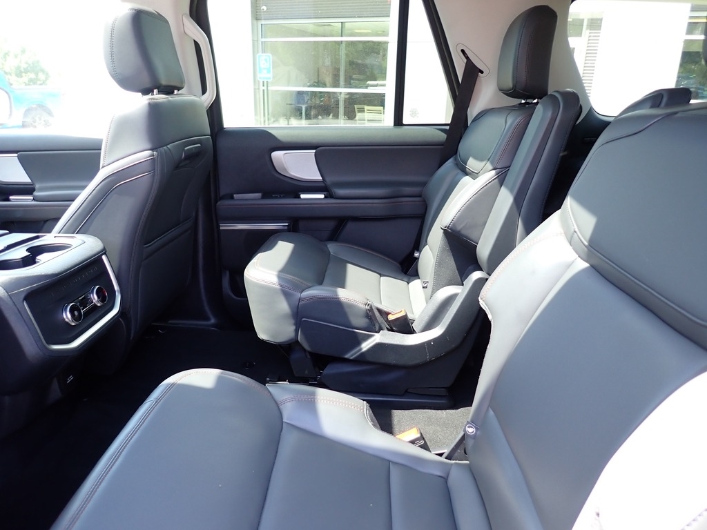 2025 Ford Expedition Active Agate Black at Star Lake Ford