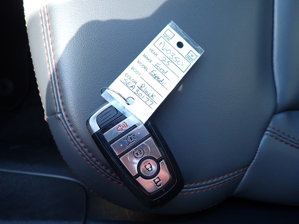 2025 Ford Expedition Active Agate Black at Star Lake Ford