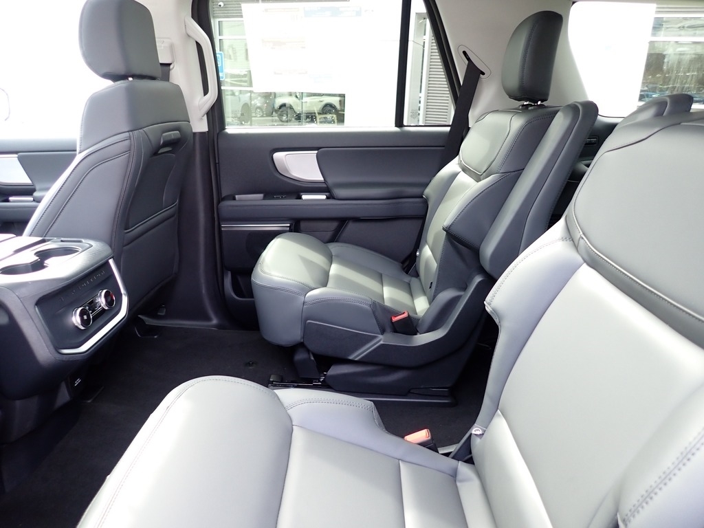 2026 Ford Expedition Active Agate Black at Star Lake Ford