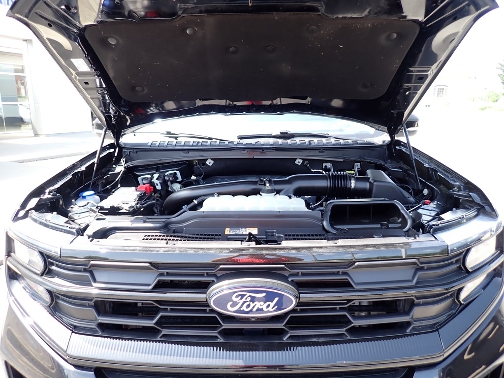 2025 Ford Expedition Active Agate Black at Star Lake Ford