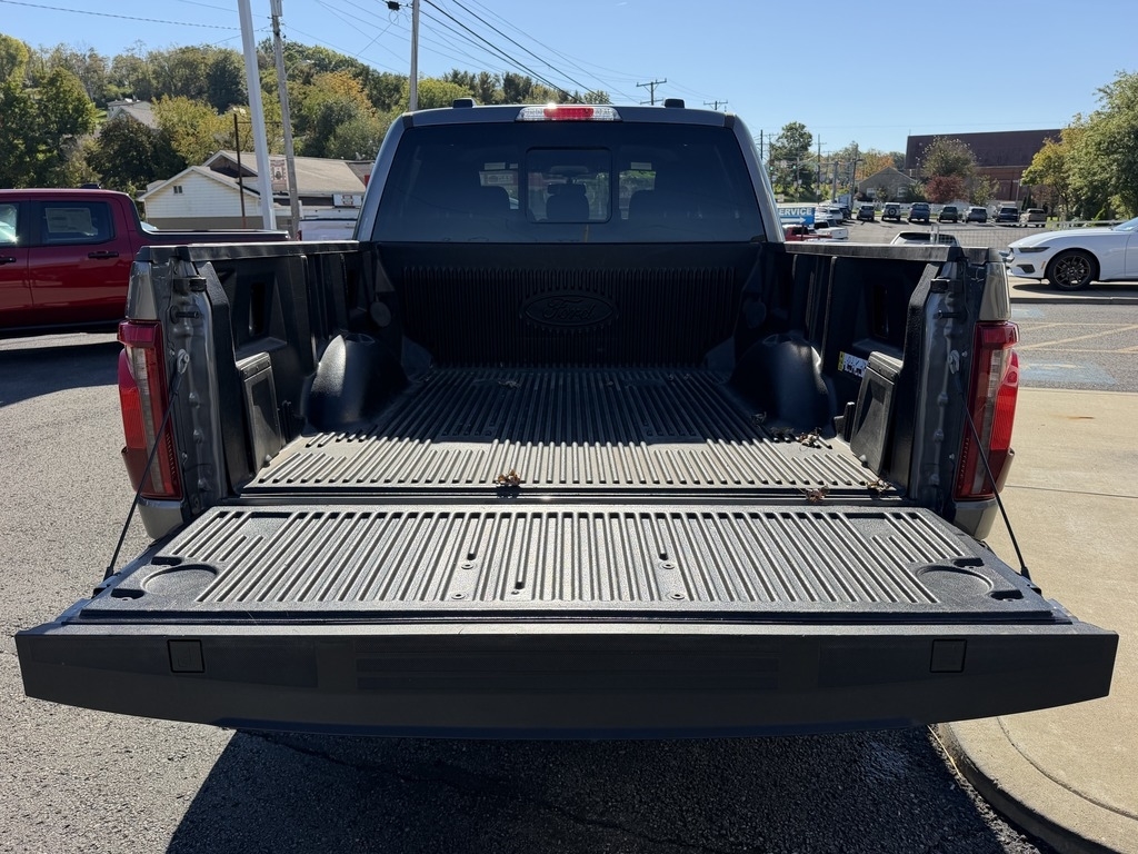 2024 Ford F-150 photo 6 of 30