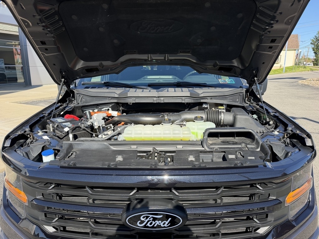 2024 Ford F-150 photo 15 of 30