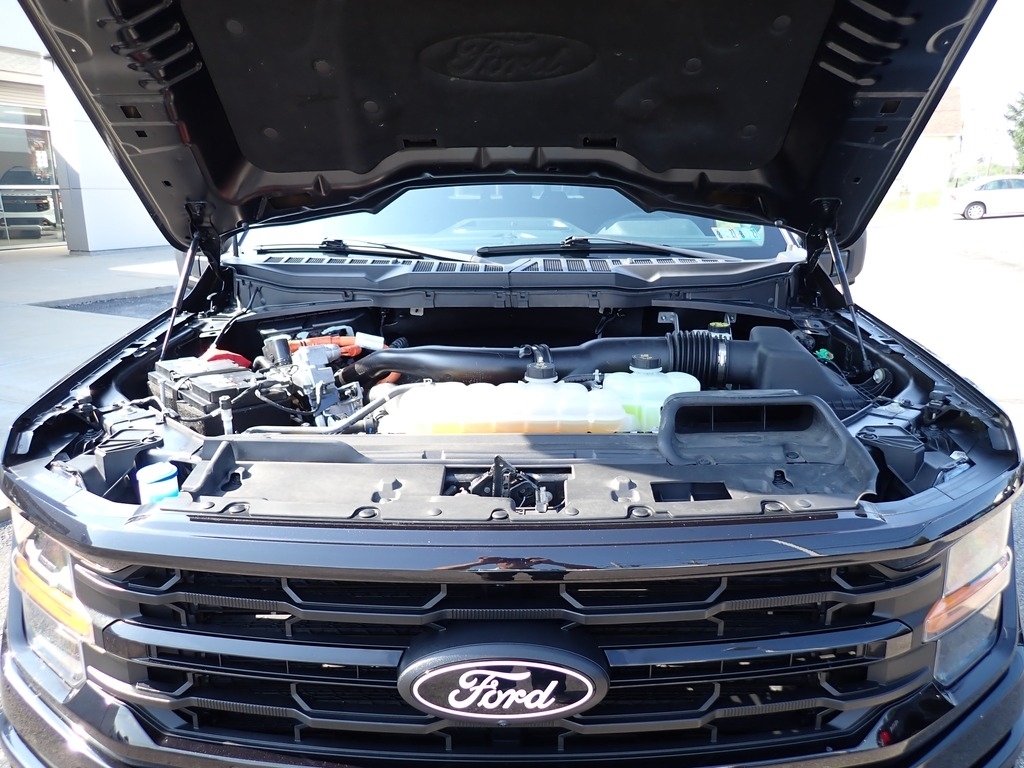 2024 Ford F-150 XLT Agate Black at Star Lake Ford