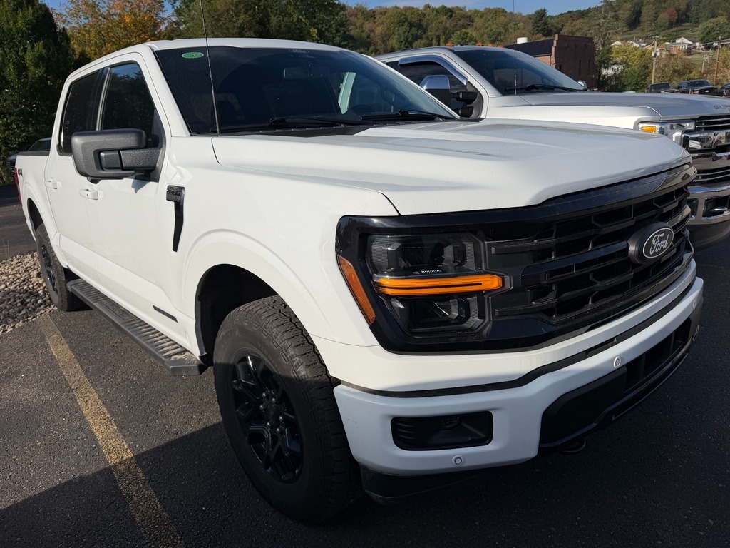 2024 Ford F-150 photo 4 of 5