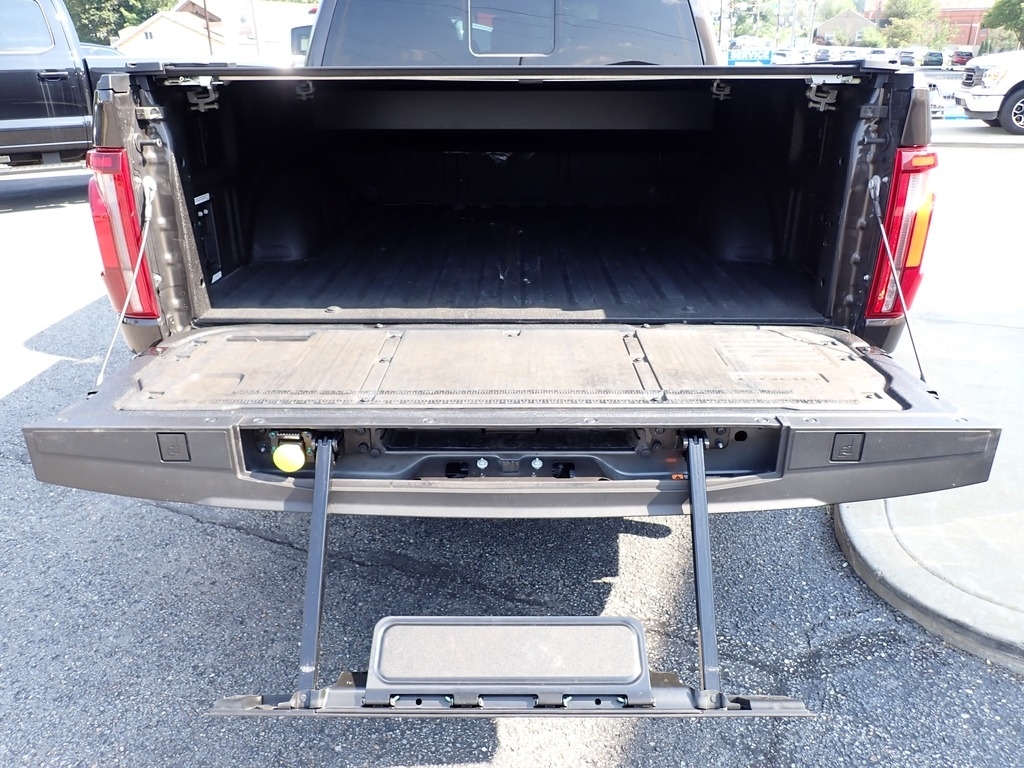 2024 Ford F-150 Platinum BRONZE at Star Lake Ford