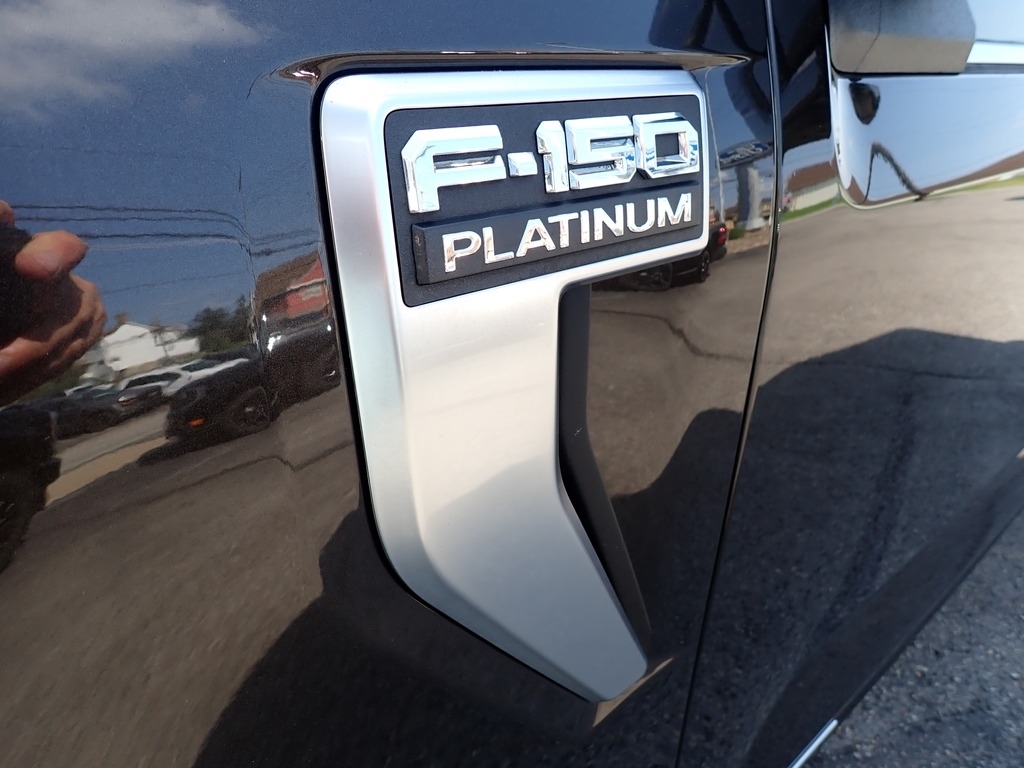 2024 Ford F-150 Platinum BRONZE at Star Lake Ford