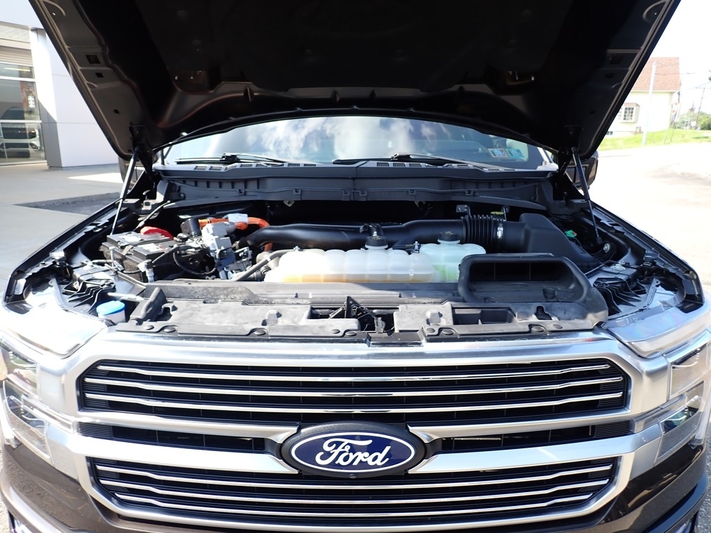 2024 Ford F-150 Platinum BRONZE at Star Lake Ford