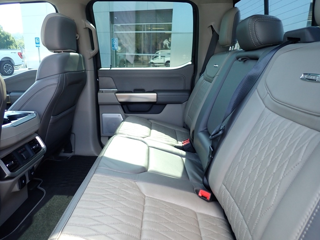 2024 Ford F-150 Platinum BRONZE at Star Lake Ford