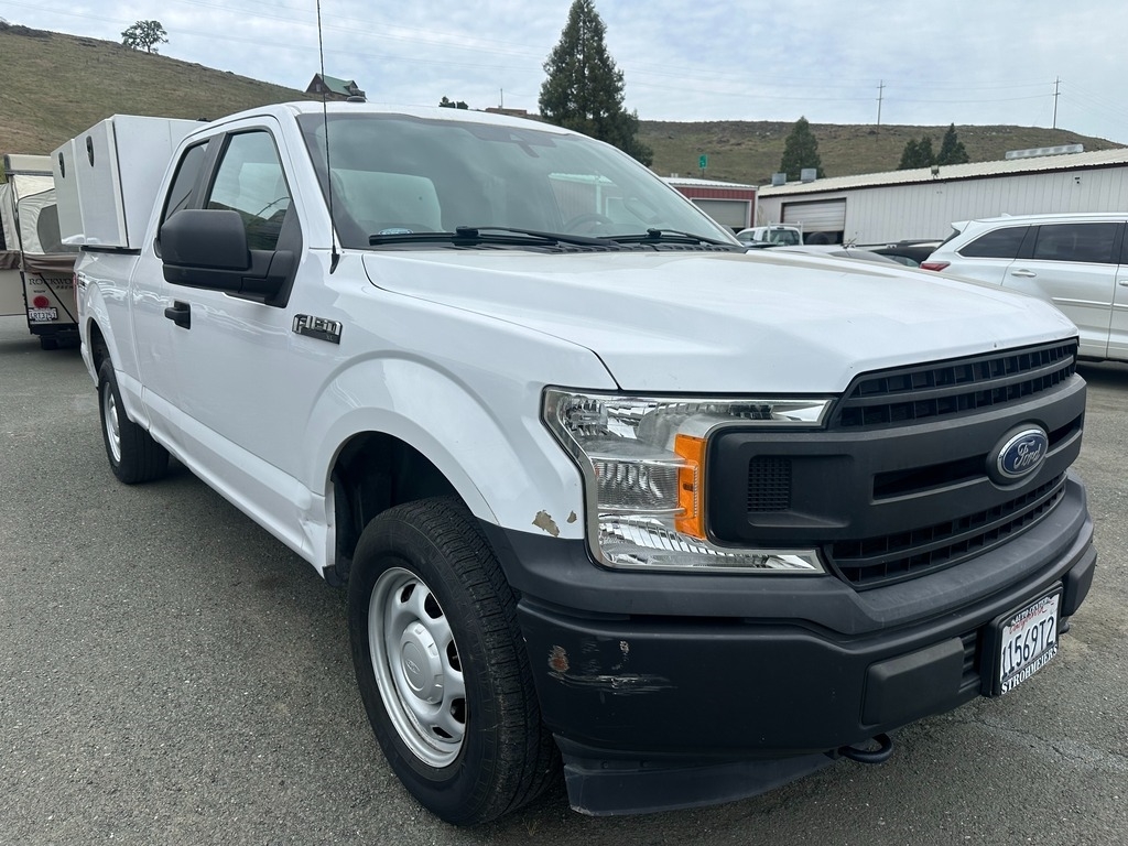 2019 Ford F-150 XL Pickup
