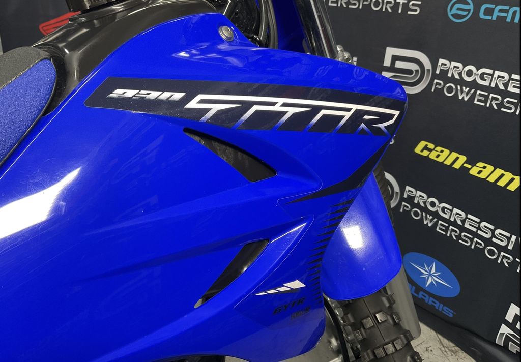 2024 Yamaha TT-R 230 9