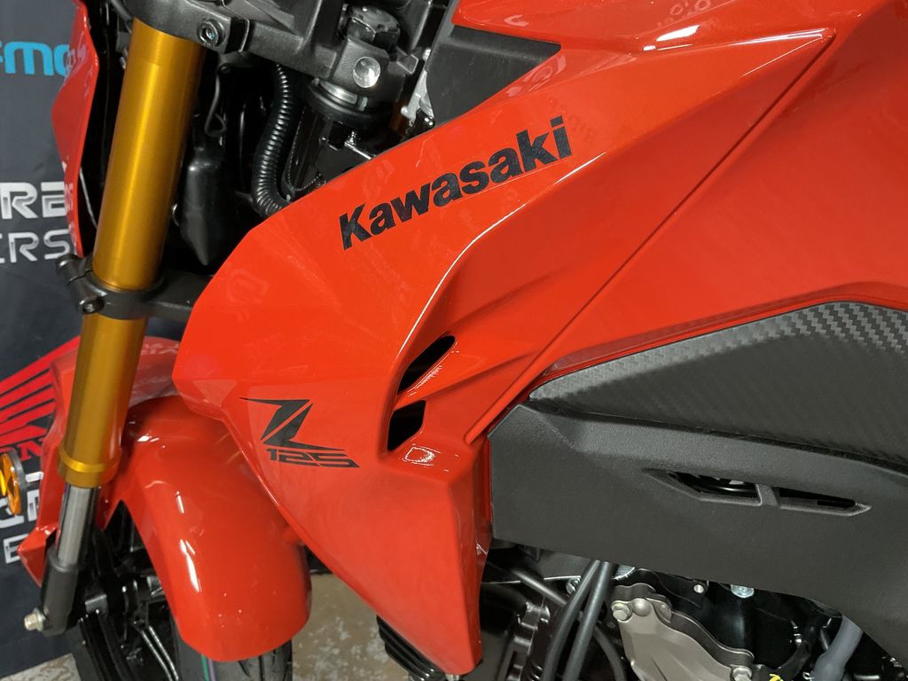 2025 Kawasaki Z125 PRO  21