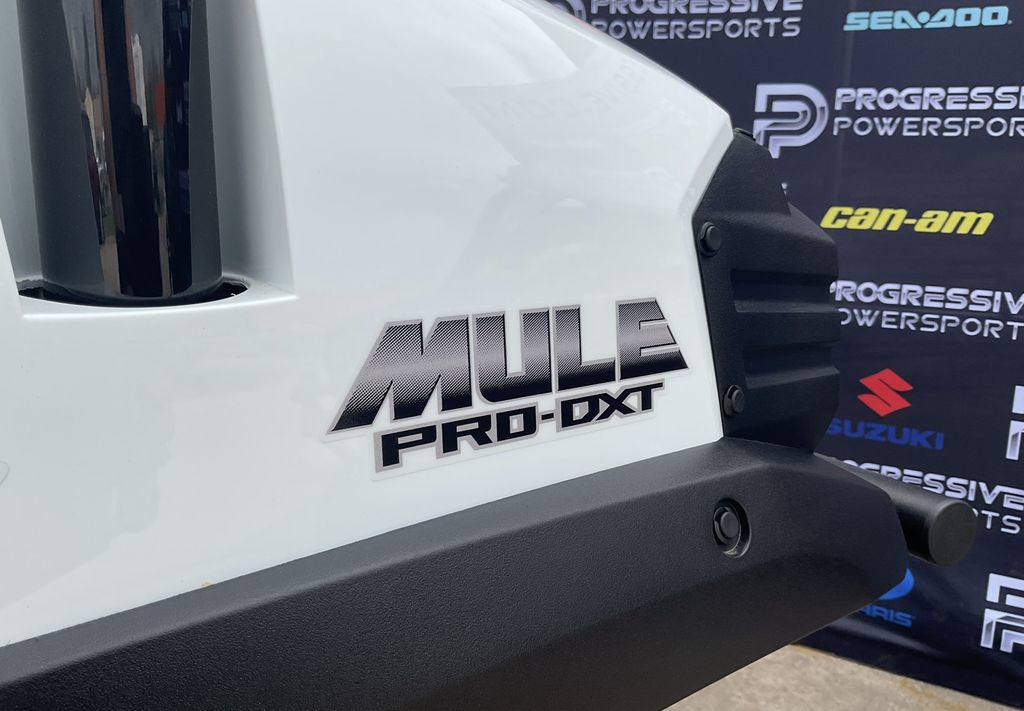 2025 Kawasaki Mule PRO-DXT FE EPS 11