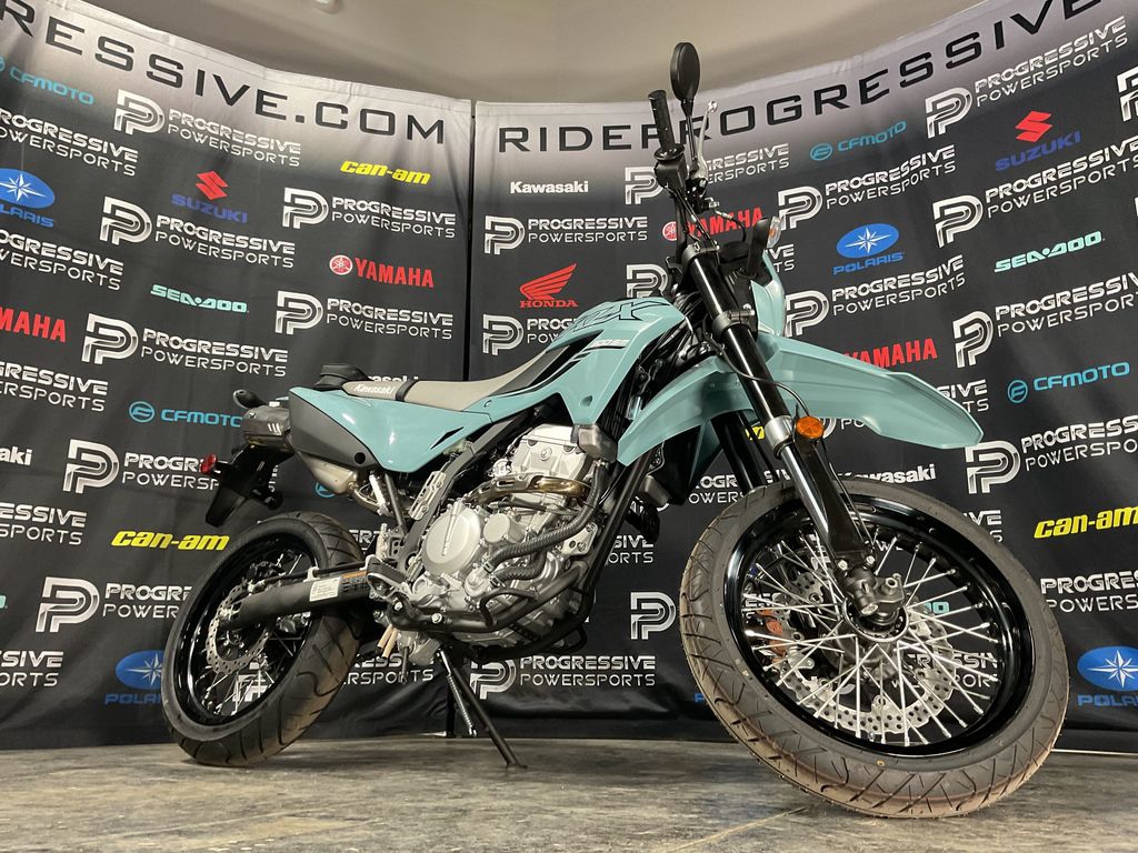 2025 Kawasaki KLX300SM  11