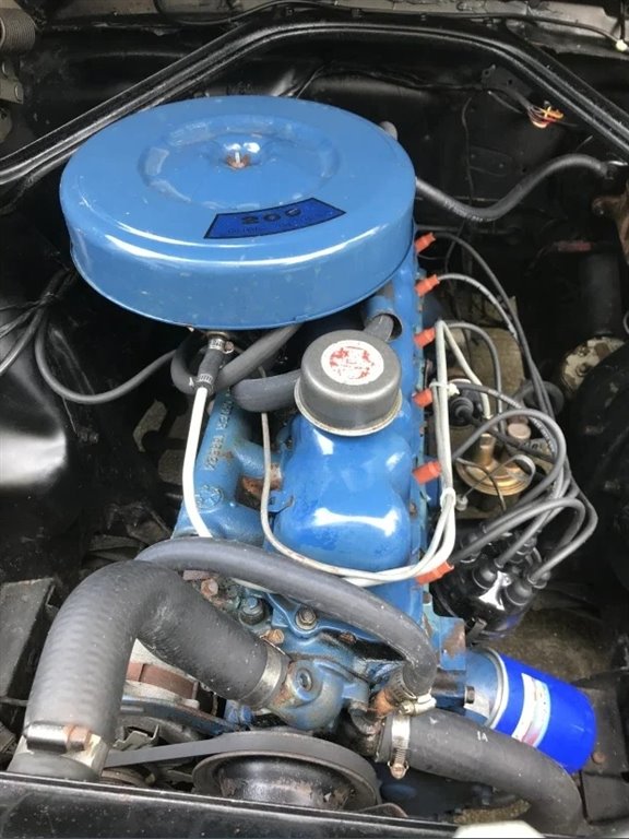 1966 Ford Mustang  photo