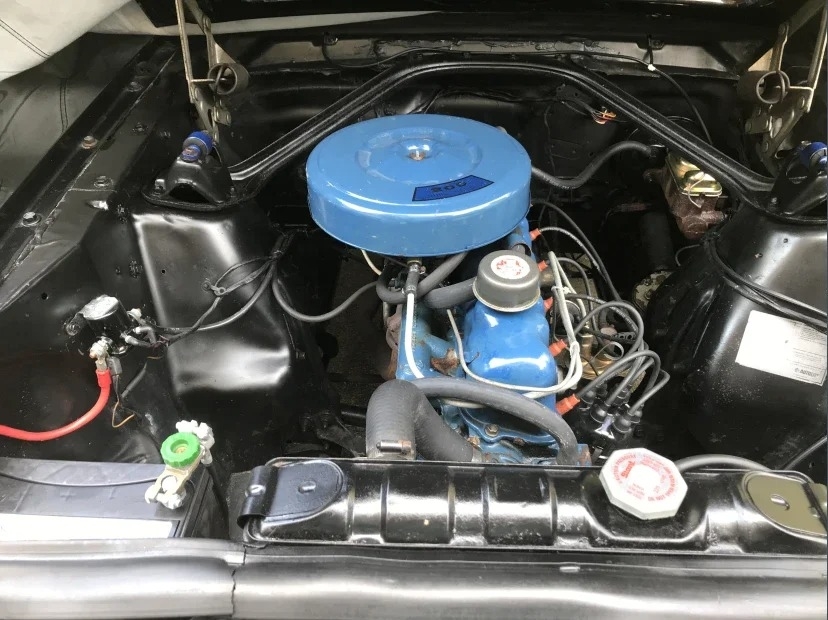 1966 Ford Mustang  photo