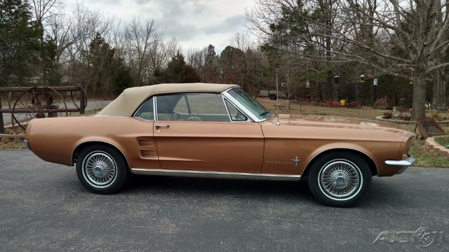 The 1967 Ford Mustang  photos