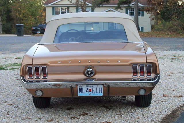 1967 Ford Mustang  photo