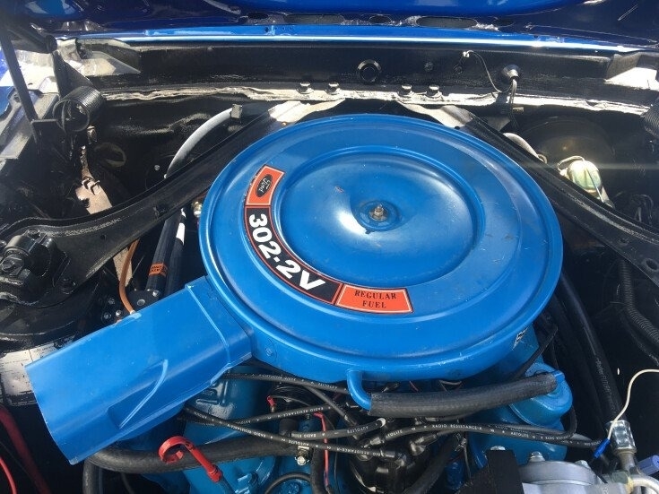1969 Ford Mustang  photo