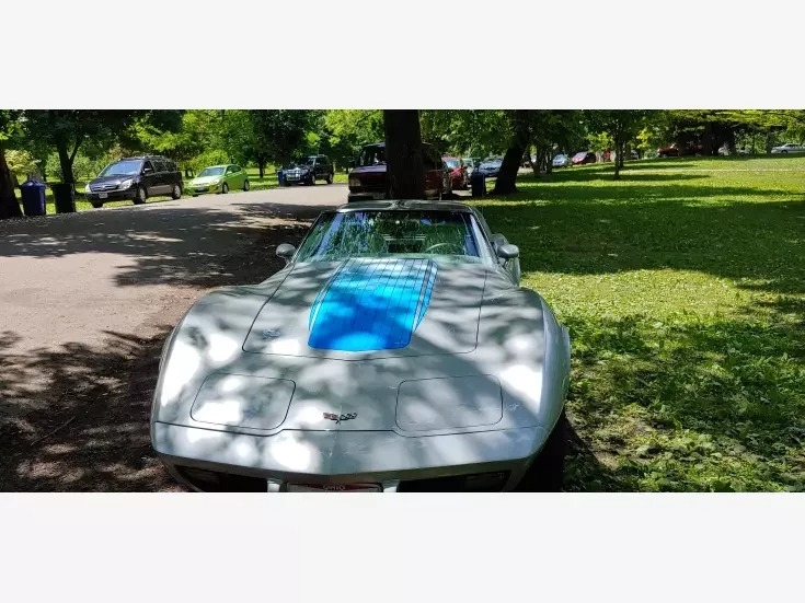 1977 Chevrolet Corvette Coupe Convertible photo