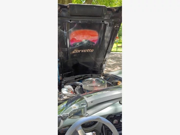 1977 Chevrolet Corvette Coupe Convertible photo