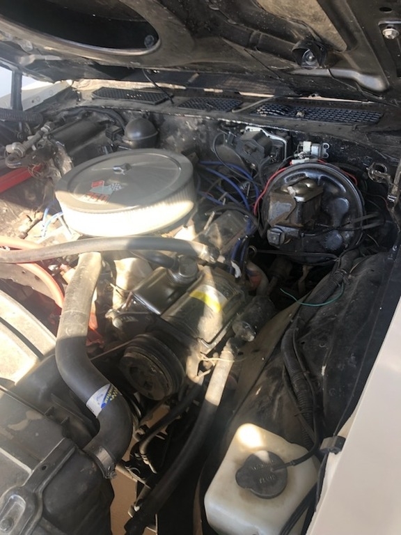 1972 Chevrolet El Camino SS photo
