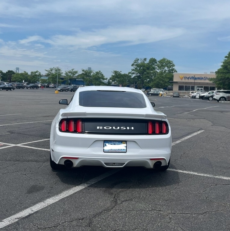 2015 Ford Mustang Roush RS photo