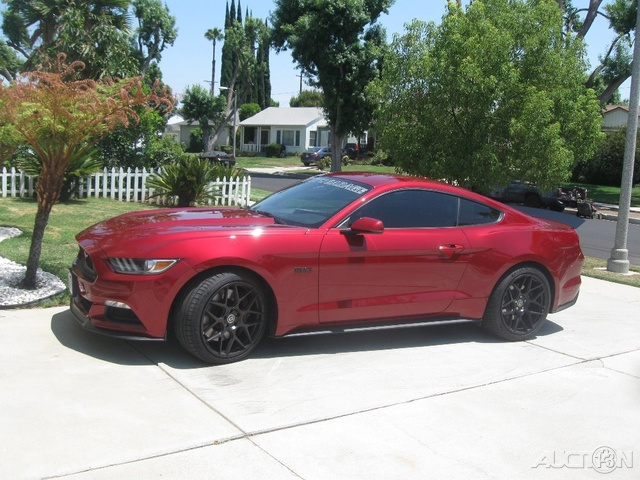 The 2015 Ford Mustang GT Premium photos