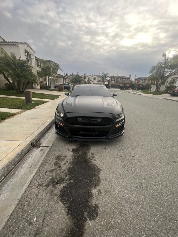2015 Ford Mustang GT photo