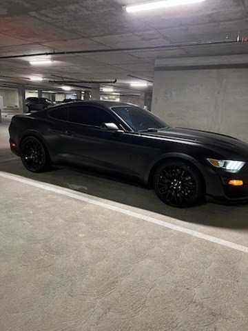 2015 Ford Mustang GT photo