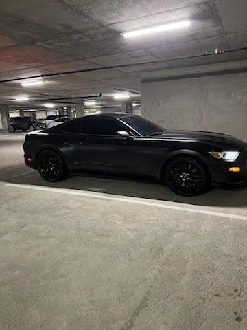 2015 Ford Mustang GT photo