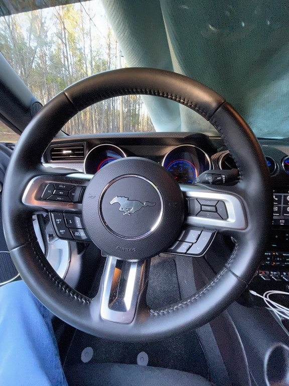 2019 Ford Mustang GT Premium photo