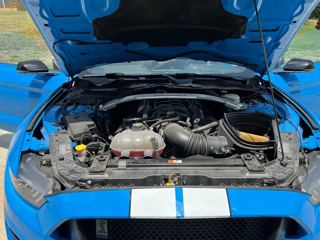 2017 Ford Mustang Shelby GT350 photo