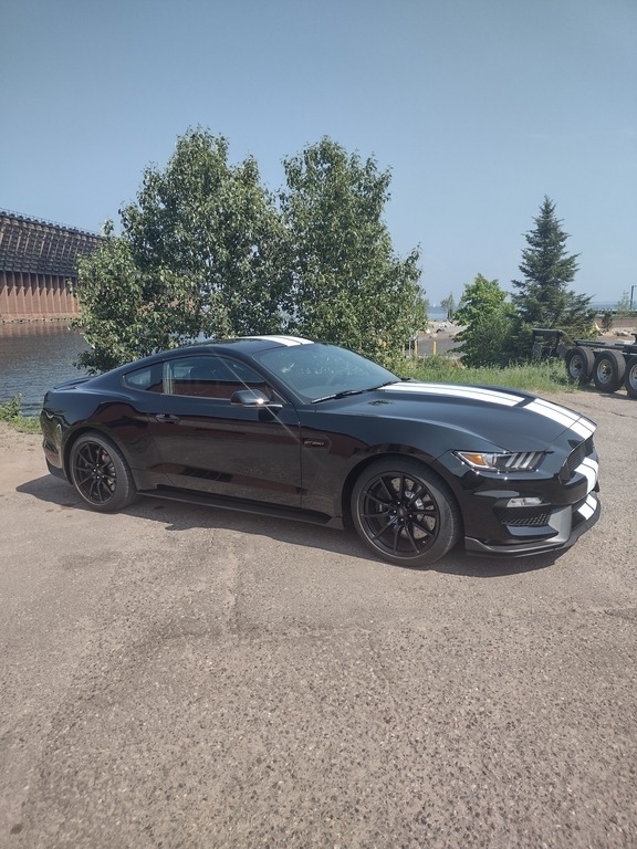 2016 Ford Mustang Shelby GT350 photo