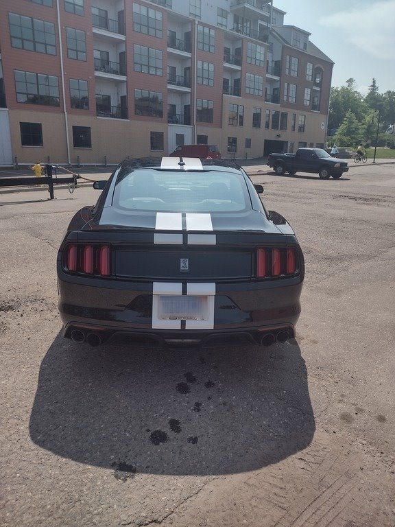 2016 Ford Mustang Shelby GT350 photo