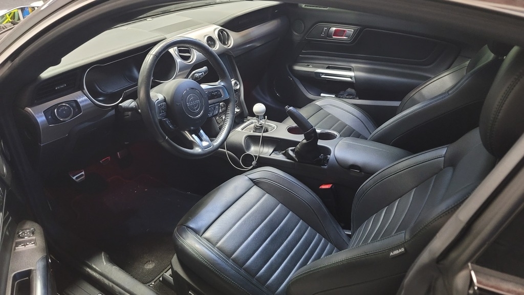 2019 Ford Mustang BULLITT photo