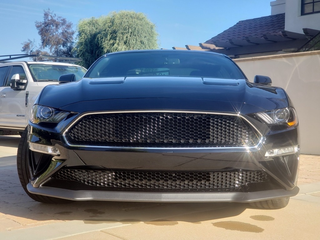 2019 Ford Mustang BULLITT photo