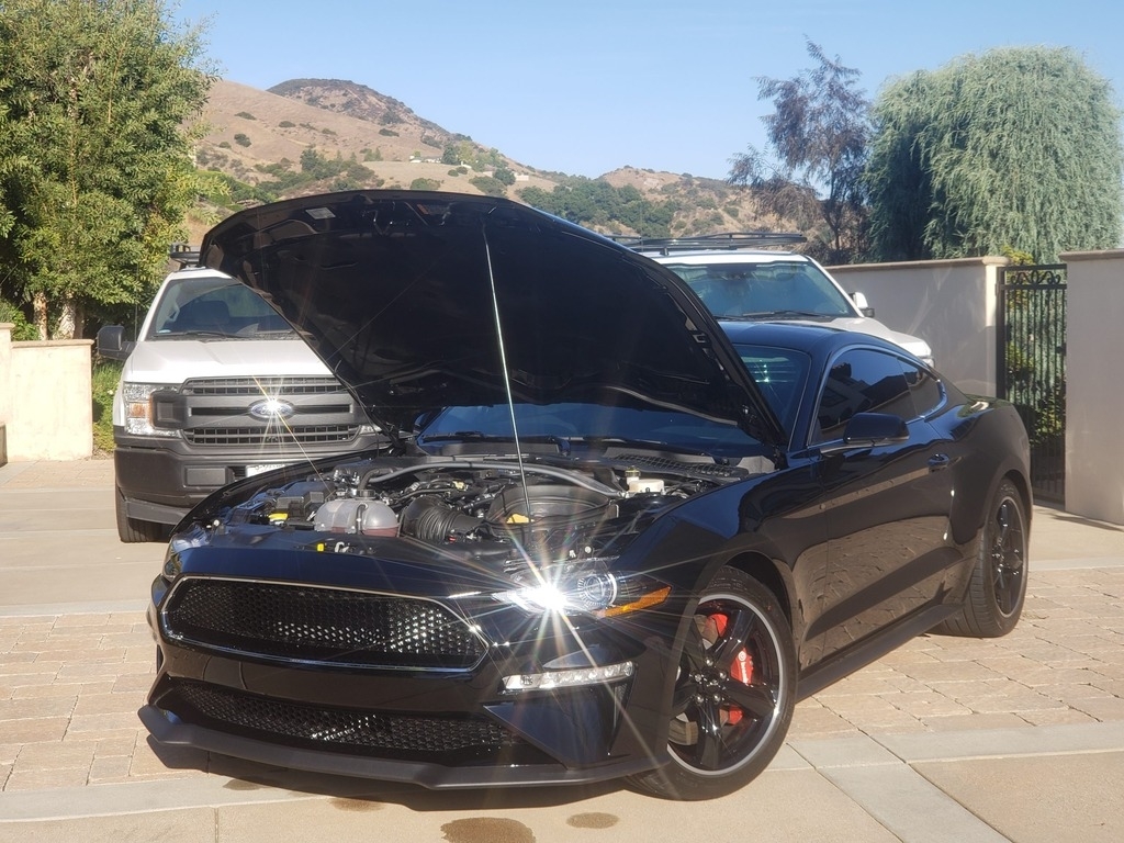 2019 Ford Mustang BULLITT photo