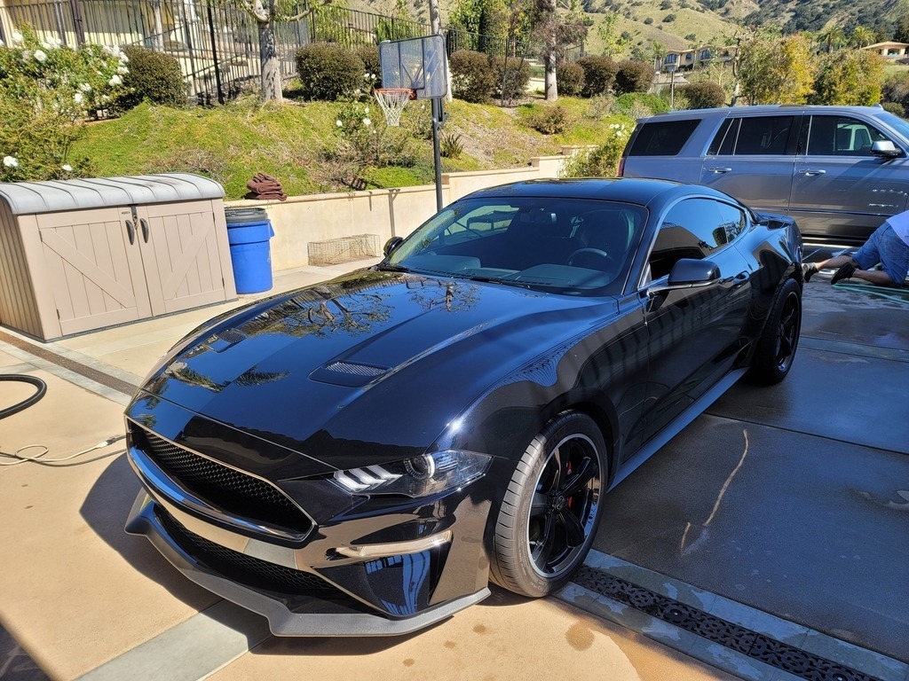 2019 Ford Mustang BULLITT photo