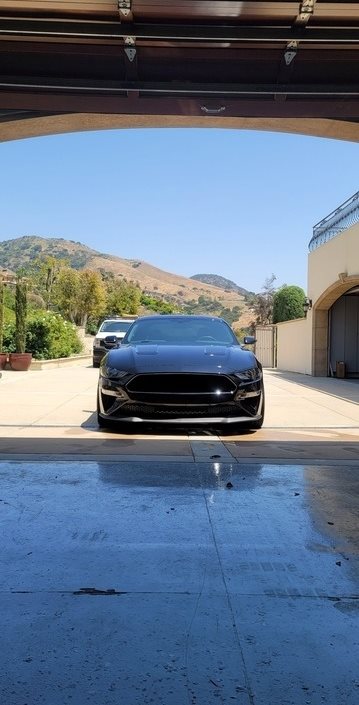 2019 Ford Mustang BULLITT photo