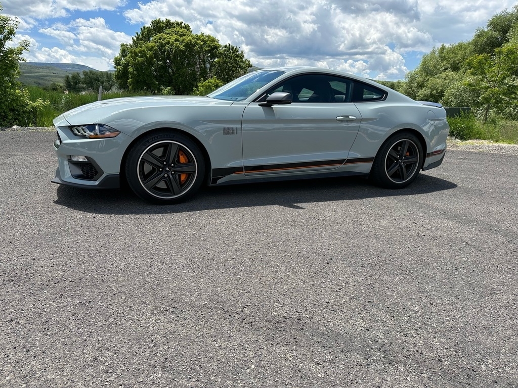 2021 Ford Mustang Mach 1 photo